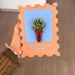 Frailejón